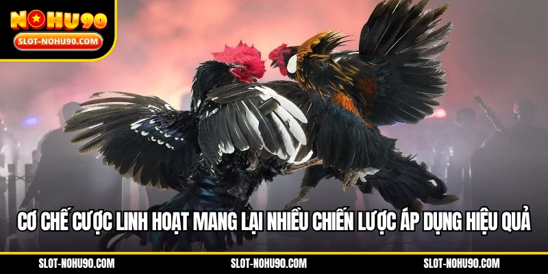 Cơ chế cược linh hoạt mang lại nhiều chiến lược áp dụng hiệu quả