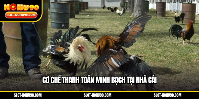 Cơ chế thanh toán minh bạch tại nhà cái