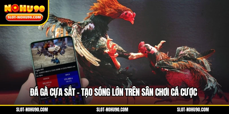 Đá gà cựa sắt