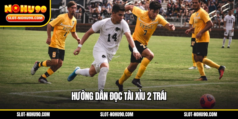 Hướng dẫn đọc tài xỉu 2 trái