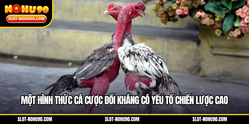 Một hình thức cá cược đối kháng có yếu tố chiến lược cao