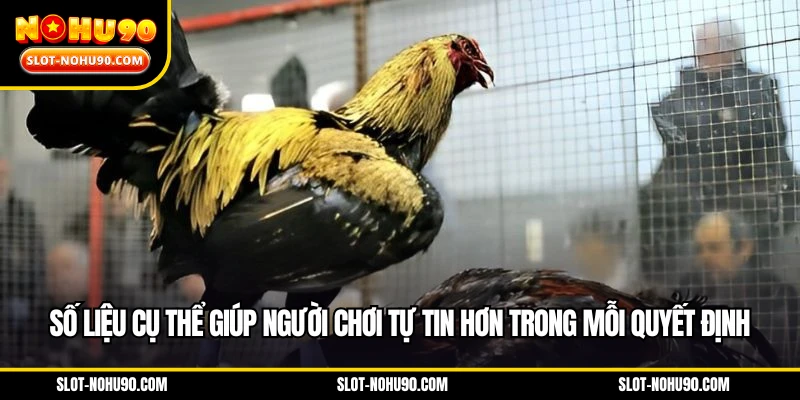 Số liệu cụ thể giúp người chơi tự tin hơn trong mỗi quyết định
