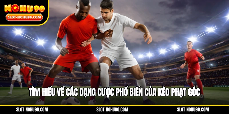Tìm hiểu về các dạng cược phổ biến của kèo phạt góc