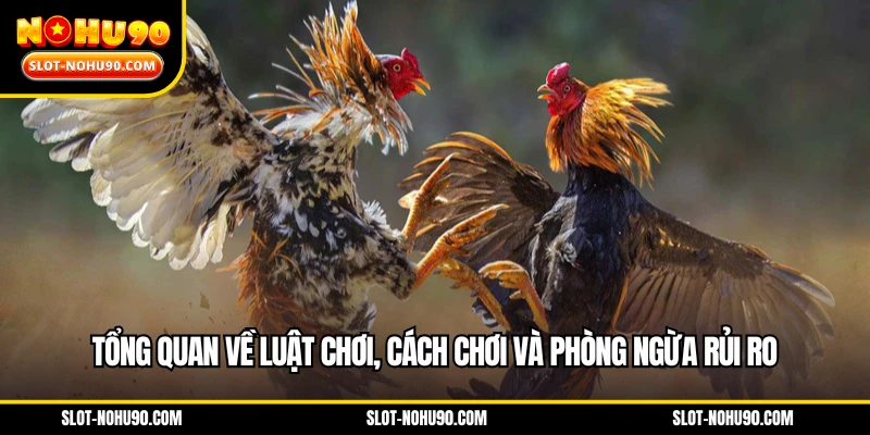 Tổng quan về luật chơi, cách chơi và phòng ngừa rủi ro