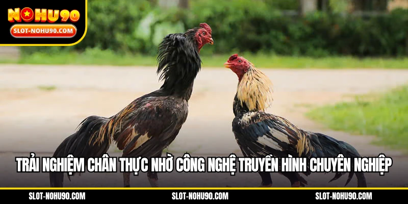 Trải nghiệm chân thực giúp công nghệ truyền hình chuyên nghiệp